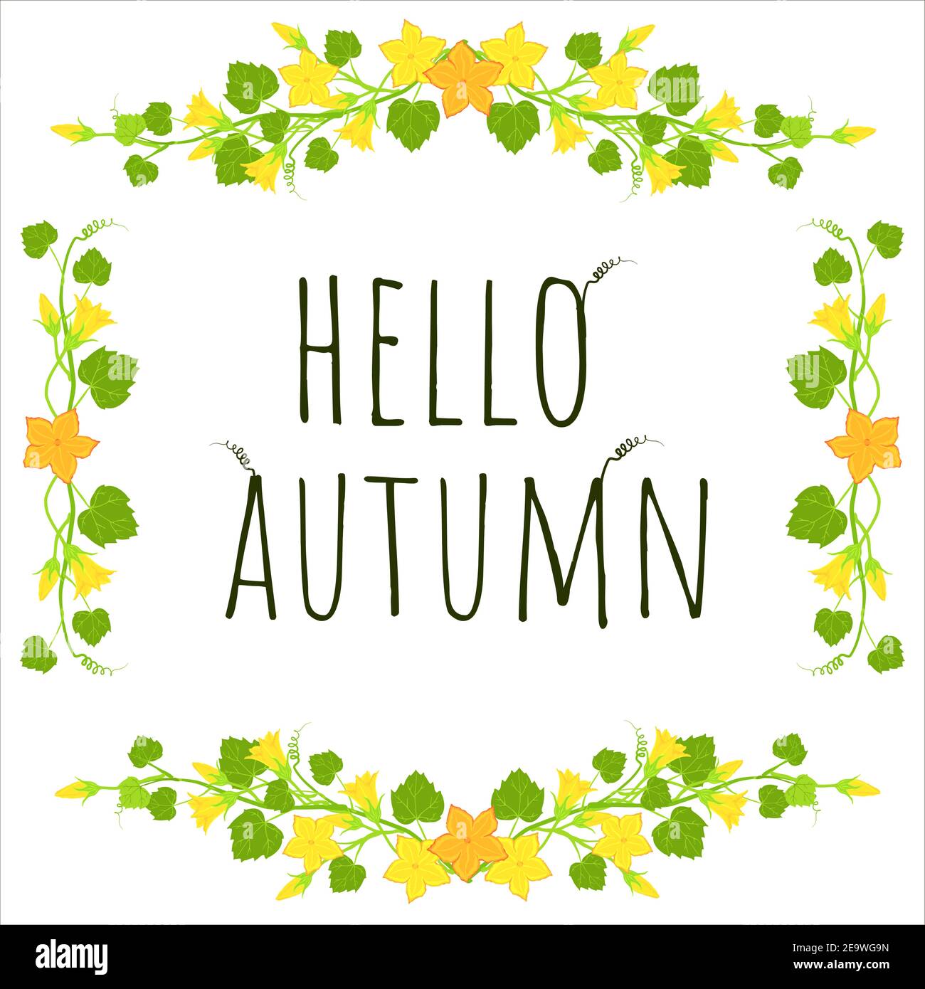 Cadre de fleur de citrouille jaune. Bonjour carte postale d'automne. Bordure de branche lumineuse à motif floral dans un cadre carré. Éléments botaniques vectoriels. Illustration de Vecteur