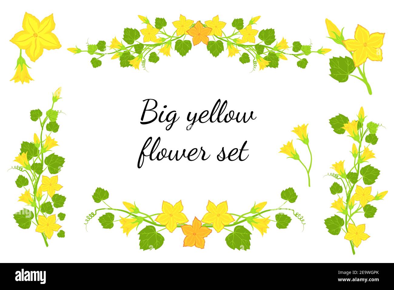 Ensemble de grandes fleurs jaunes Illustration de Vecteur