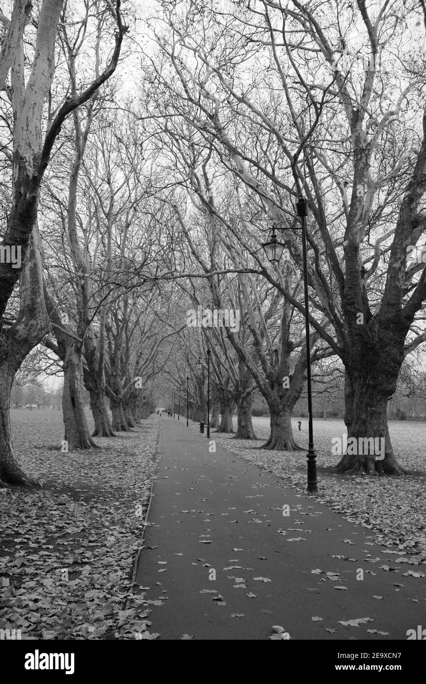 Image en noir et blanc de Jésus Vert à Cambridge. Jesus Green est un parc dans le nord du centre de Cambridge, Cambridgeshire, Angleterre. Banque D'Images