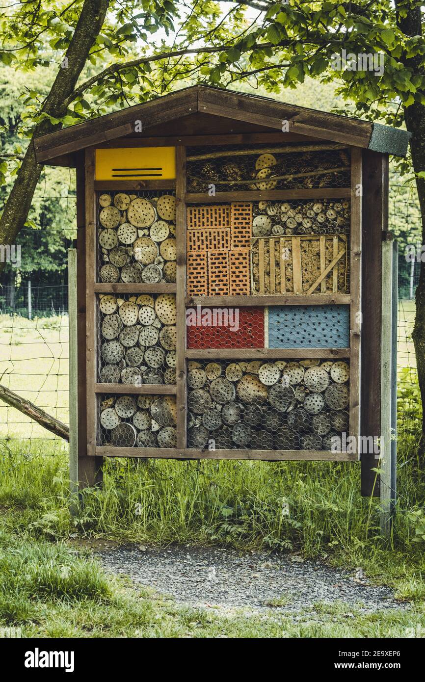 Bee hôtel. Une maison conçue pour les abeilles sauvages. Situé dans le parc animalier de Warstein, en Allemagne Banque D'Images