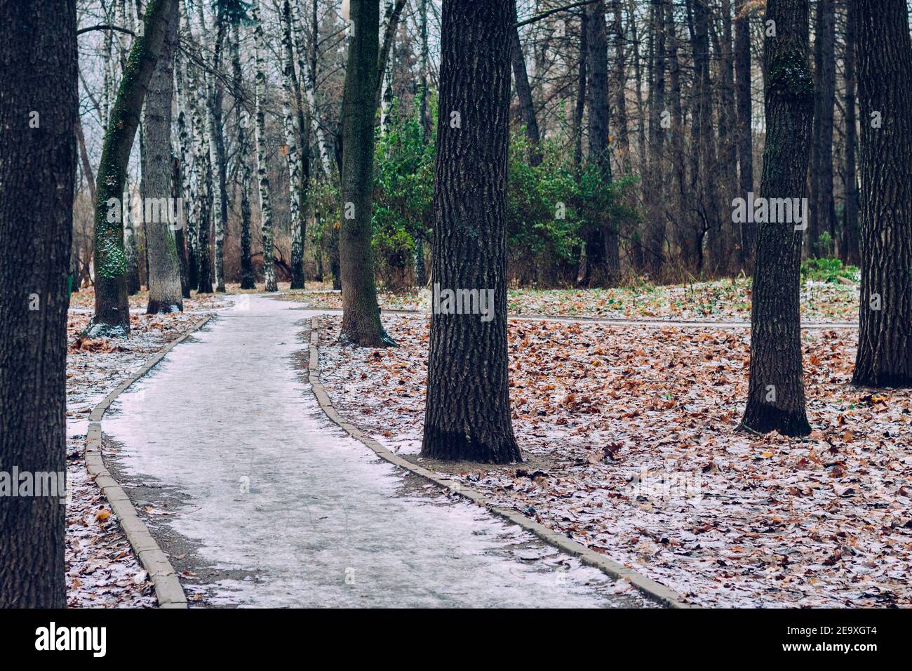 Parc municipal d'automne avec feuilles mortes couvertes de neige, sentiers de promenade, début de l'hiver. Banque D'Images