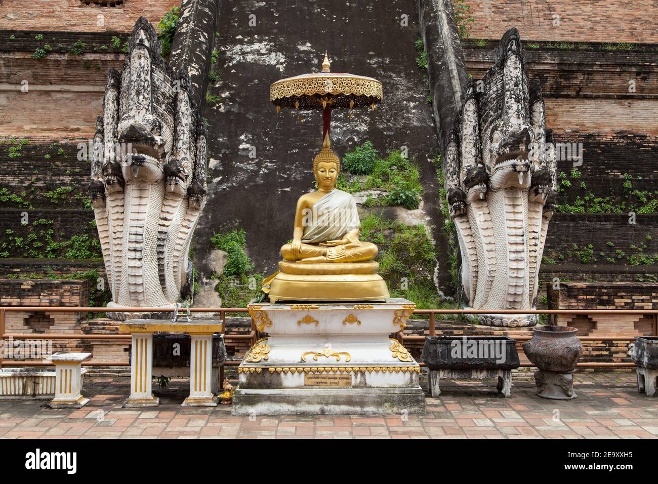 Statue de Bouddha à Wat Chedi Luang, Chiang Mai, Thaïlande. Banque D'Images