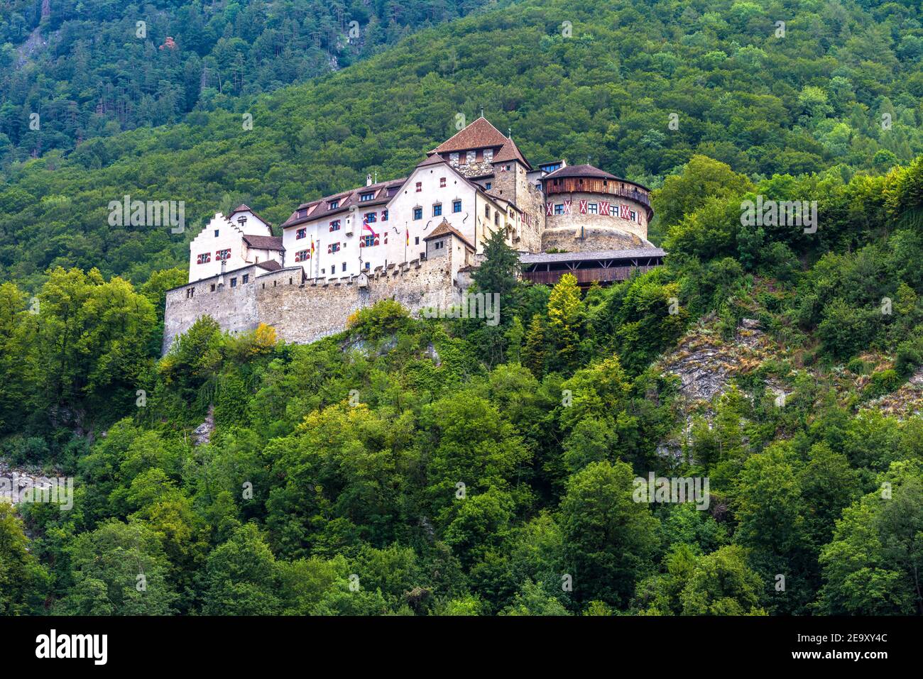 Château de Vaduz au Liechtenstein, en Europe. C'est un point de repère du Liechtenstein et de la Suisse. Paysage de colline verdoyante avec château comme le palais. Vieux Royal Banque D'Images