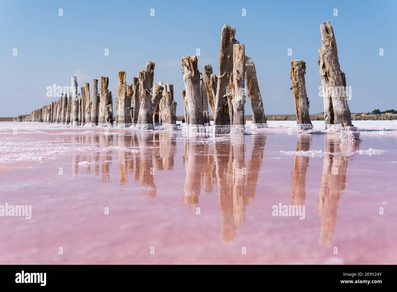 Plaines de sel de mer mort avec piliers en bois submergés dans le sel. Eau colorée aux algues roses. Banque D'Images