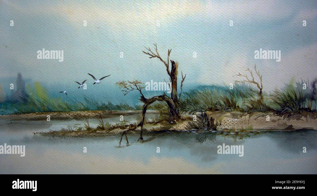 art,peinture,arrière-plans pour le design , oiseau aquarelle de thaïlande Banque D'Images