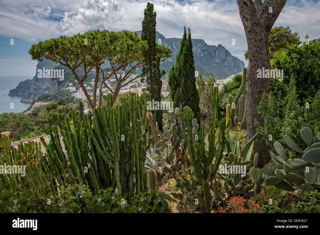 Paysage typique sur l'île de Capri avec un jardin exotique, des maisons blanches et la montagne de Monte Solaro en arrière-plan, mer Tyrrhénienne, Italie Banque D'Images