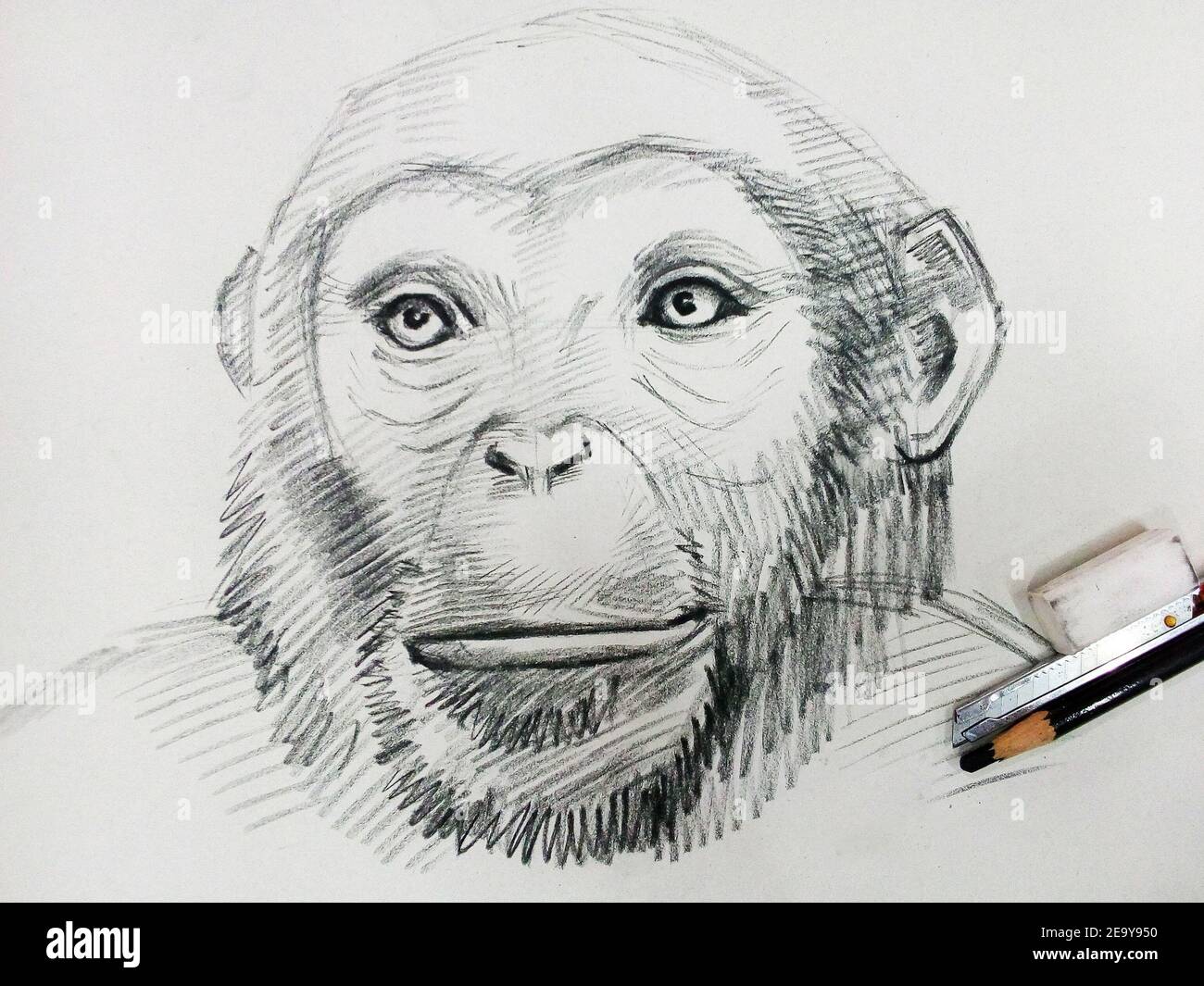 Art ,dessin ,Beaux-Arts ,esquisse ,singe Orangutan mignon ,animaux, Thaïlande , Chimpanzee Banque D'Images