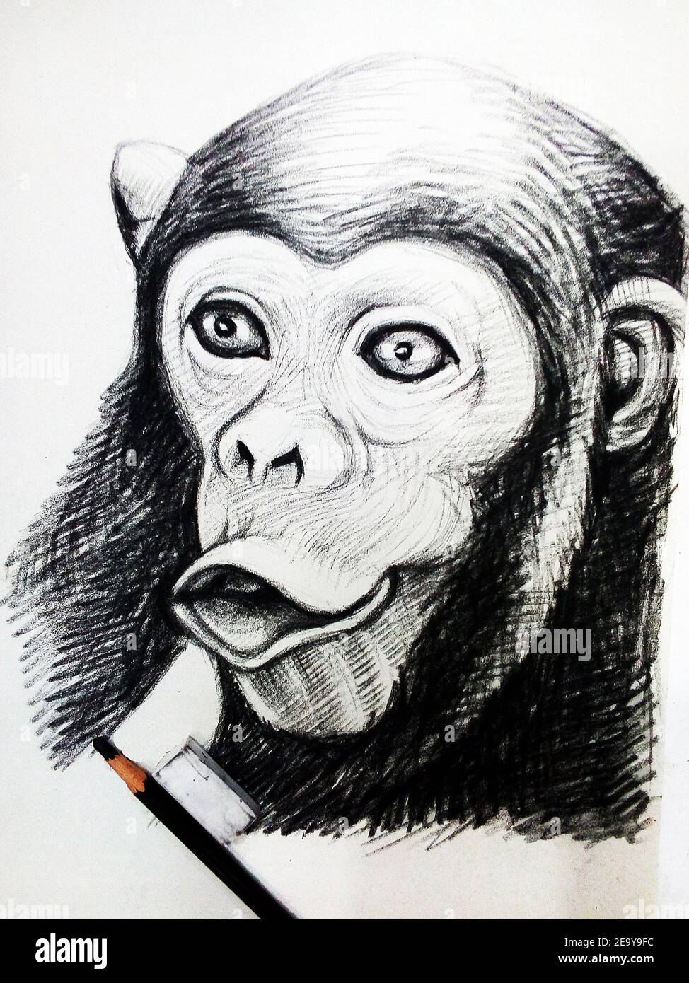 Art ,dessin ,Beaux-Arts ,esquisse ,mignon , animaux singes, Thaïlande , Chimpanzee , dessin de trait Banque D'Images