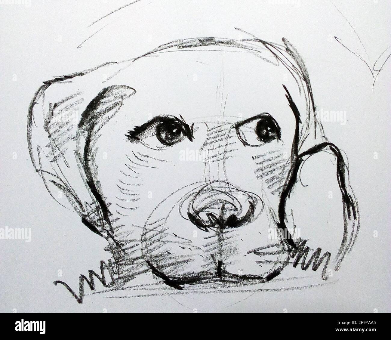 Art, dessin, Beaux-Arts, esquisse, chien mignon, Thaïlande Banque D'Images