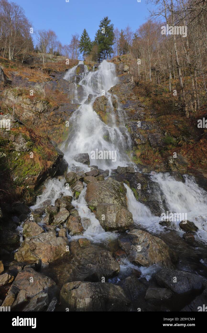 La crique Stübenbach dans la Forêt-Noire tombe le long de la colline comme Todtnau Banque D'Images