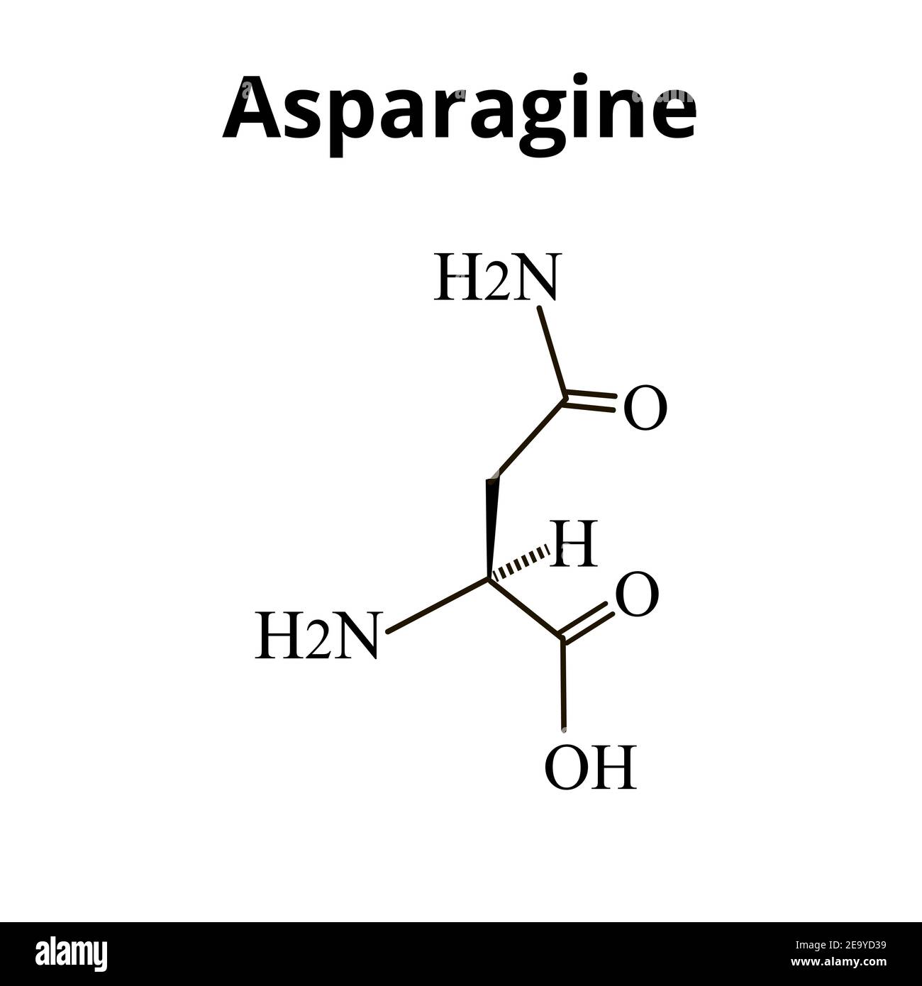 L'asparagine est un acide aminé. Formule moléculaire chimique l'asparagine est l'acide aminé. Illustration vectorielle sur un arrière-plan isolé Illustration de Vecteur