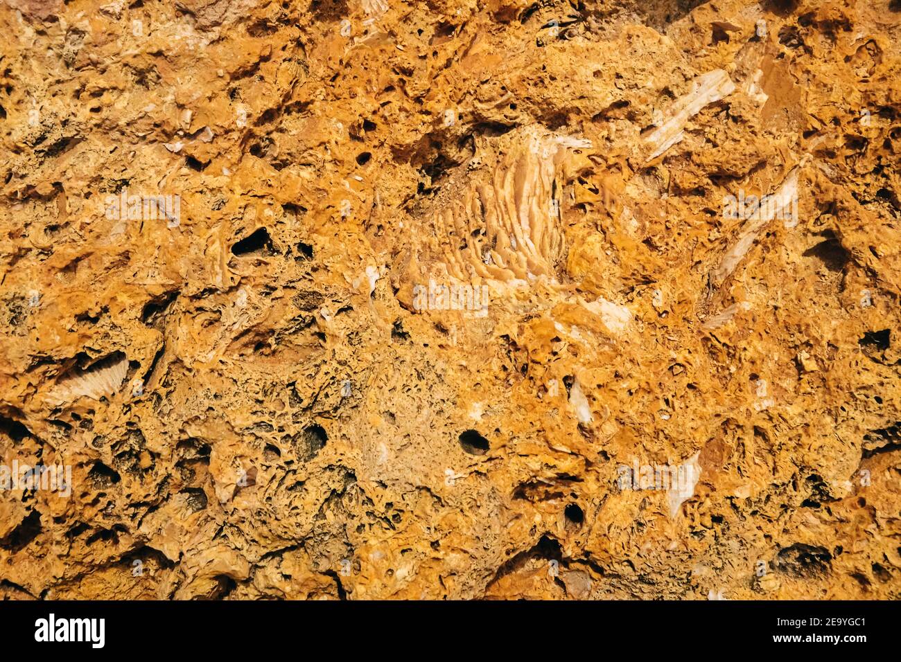 La texture de grès de près. plage de benagil au Portugal Banque D'Images