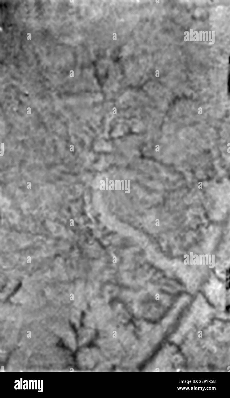 Image de Titan prise par Huygens. Une seule image de DISR qui montre deux nouvelles caractéristiques à la surface de Titan. Une fonction linéaire lumineuse suggère une zone où de la glace d'eau a pu être extrudée dans la surface. On peut aussi voir des canaux courts et courts, courts et obscurs, qui pourraient avoir été formés par des sources de méthane liquide plutôt que par des pluies, le 21 janvier 2005. Photo de l'ESA/NASA/Université de l'Arizona/ABACA. Banque D'Images