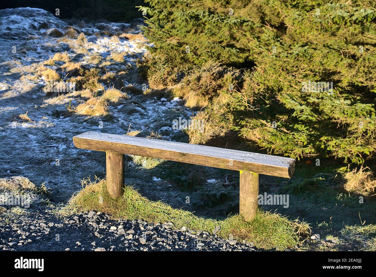 Belle vue sur un petit banc en bois recouvert de givre à côté de la route dans le parc forestier national de Tichknock, Co. Dublin, Irlande Banque D'Images