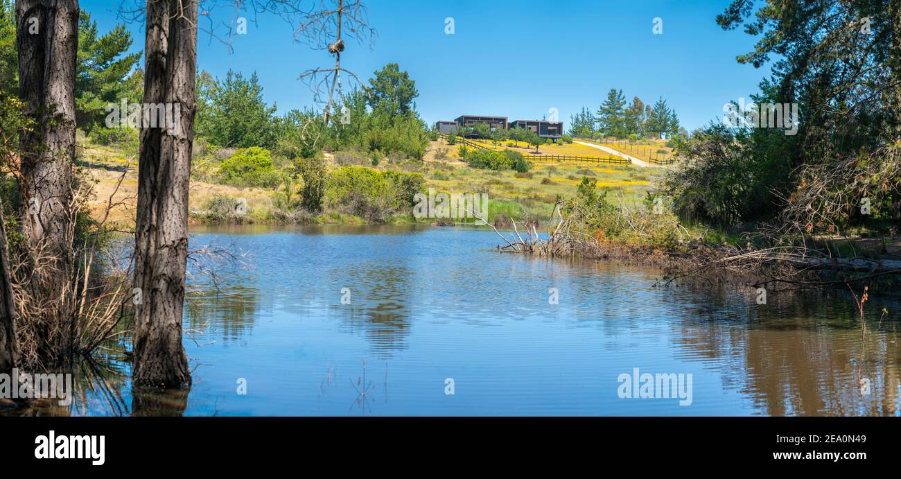Paysage vert arrière-plan d'une maison de tourisme rurale à l'intérieur de la forêt et d'un lagon au printemps avec les fleurs fleuries. Un paysage vert pour le goin Banque D'Images