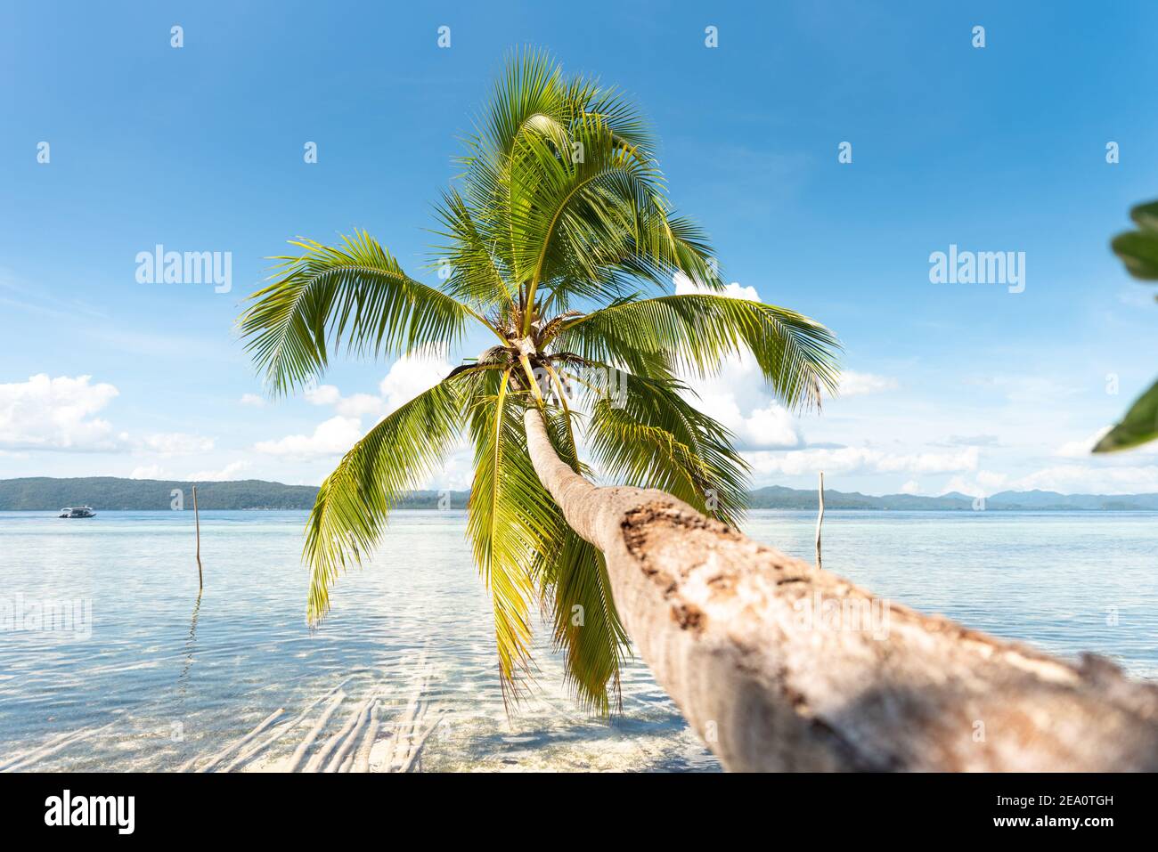 Île KRI, Raja Ampat, Papouasie occidentale, Indonésie Banque D'Images