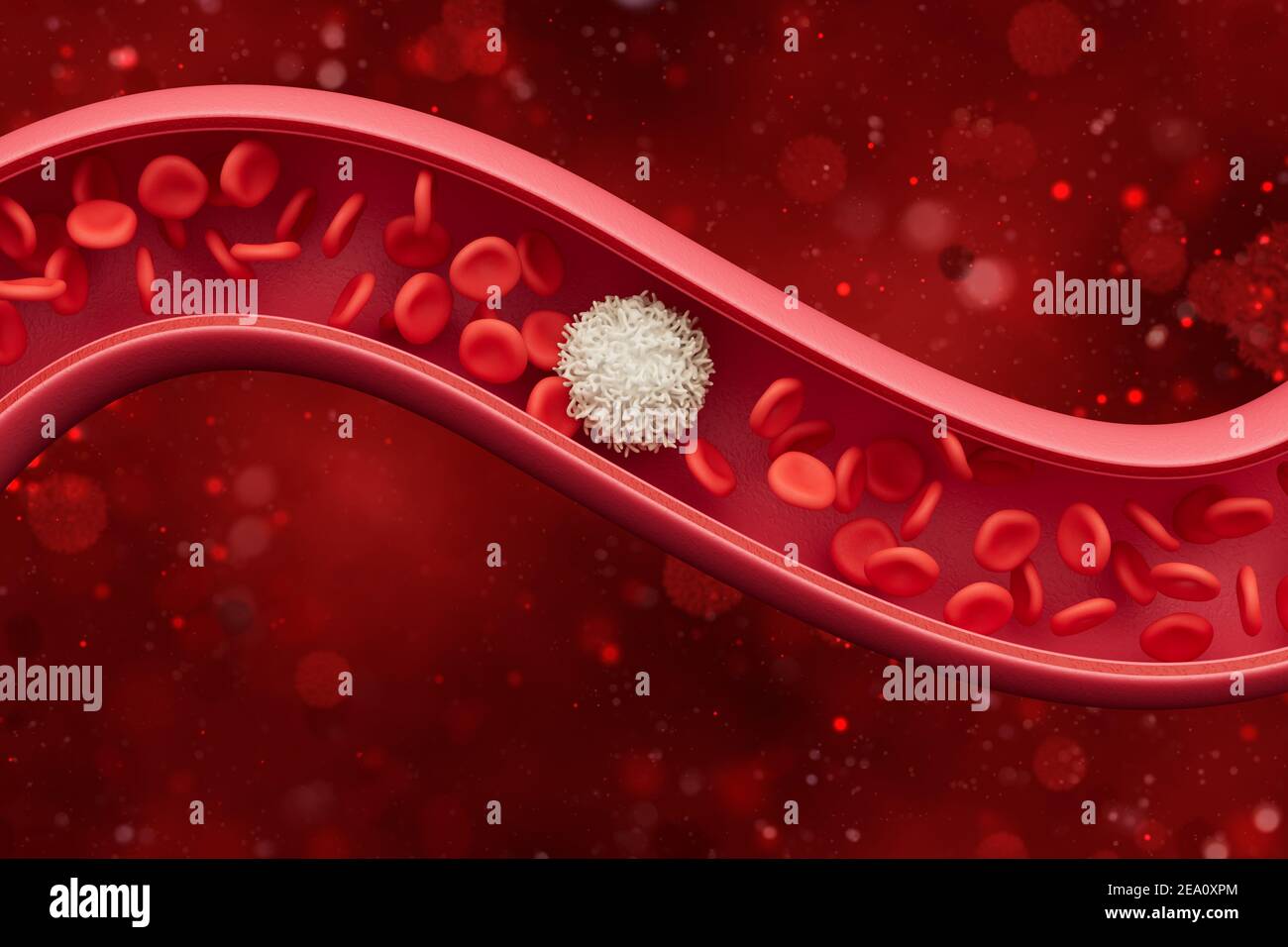 Globules rouges à l'intérieur d'une artère, veine. Flux sanguin à l'intérieur d'un organisme vivant. Concept scientifique et médical. 3 D illustration. Banque D'Images