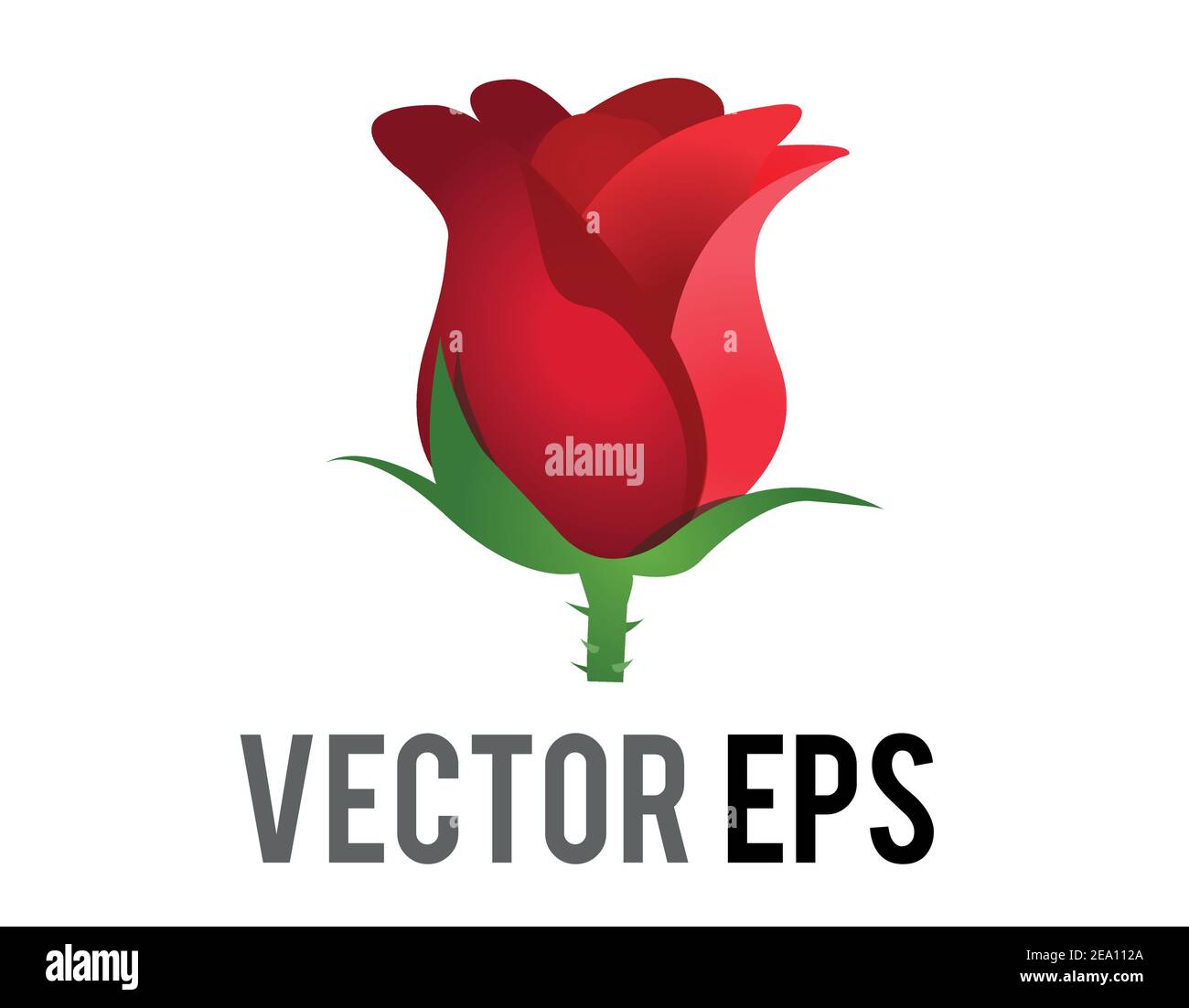 Le vecteur isolé rouge rose fleur icône avec tige verte et les feuilles Illustration de Vecteur