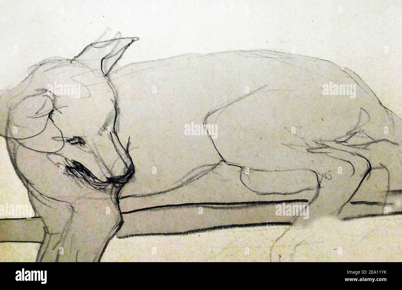 Art, dessin, Beaux-Arts, esquisse, chien mignon, Thaïlande Banque D'Images