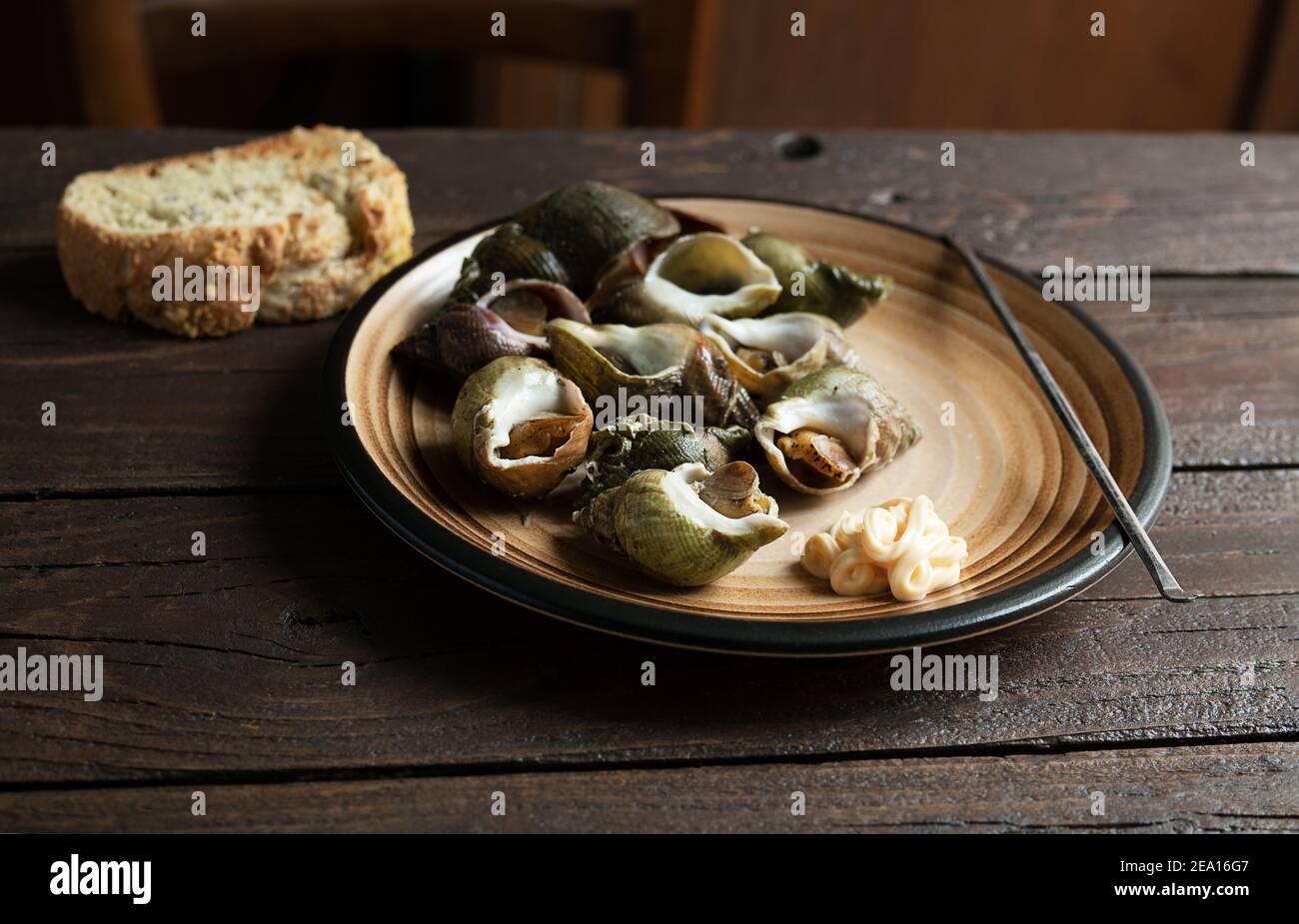 Escargots de mer frais bulot ou buccins communs bouillis avec des herbes dans une assiette et un morceau de pain sur un table en bois sombre Banque D'Images