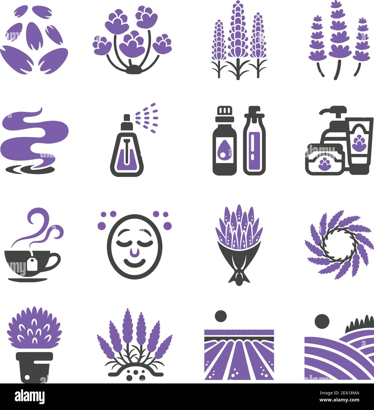 ensemble d'icônes de fleurs de lavande Illustration de Vecteur