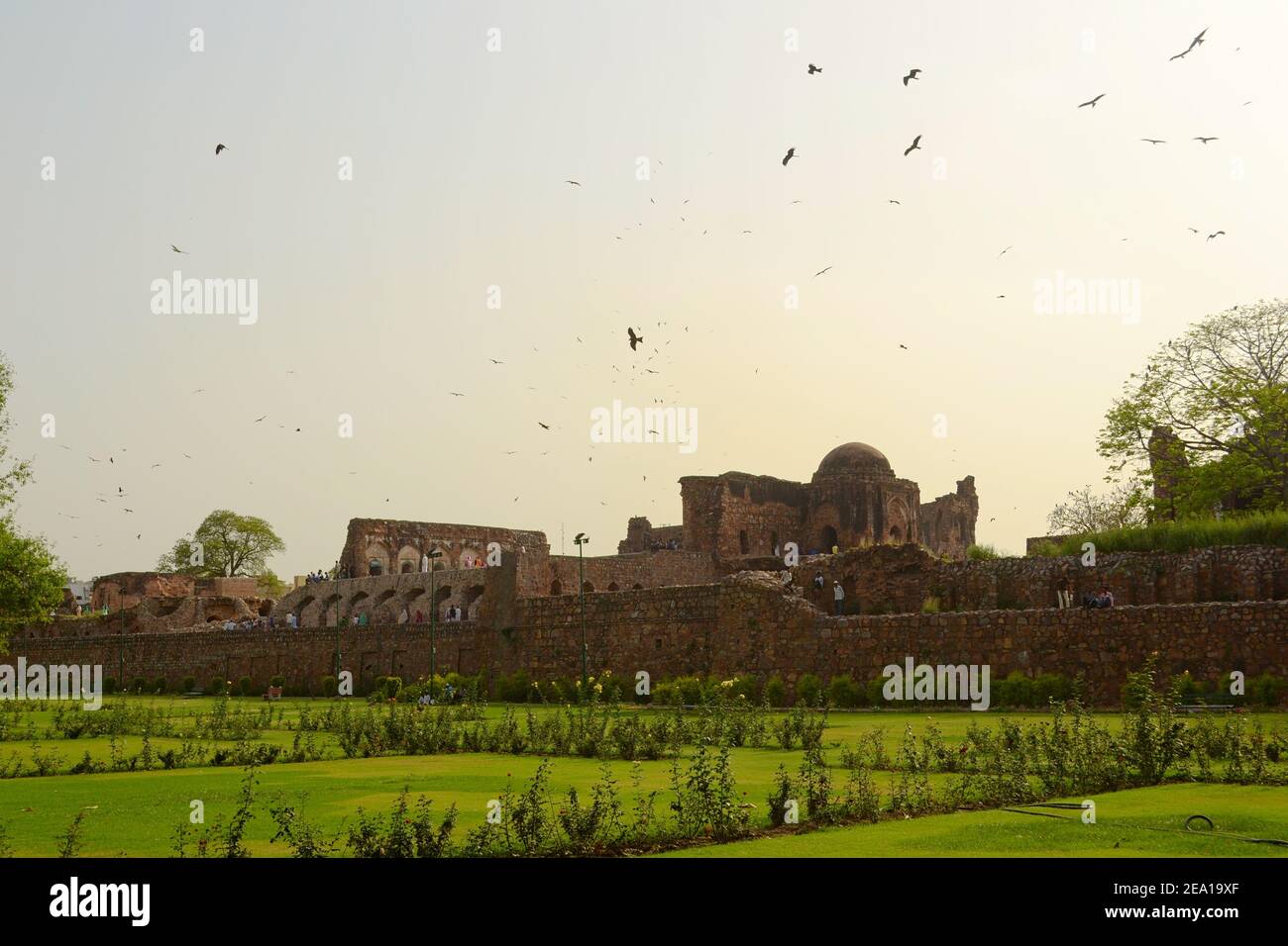 Un troupeau d'oiseaux de flyinh au-dessus des piliers du complexe Ashoka à Delhi. Jardin de roses champs verts sur un premier plan. Inde Banque D'Images