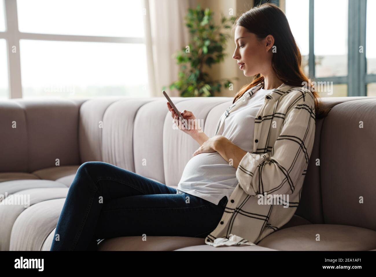 Femme enceinte charmante et concentrée utilisant un téléphone portable lorsqu'elle est assise canapé dans une chambre confortable Banque D'Images