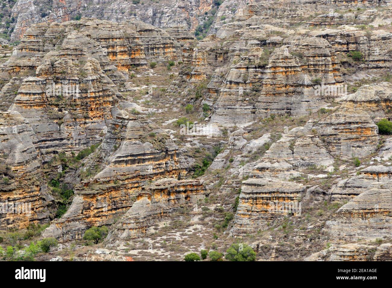 Affleurements rocheux en grès patiné dans le parc national d'Isalo, à Madagascar Banque D'Images