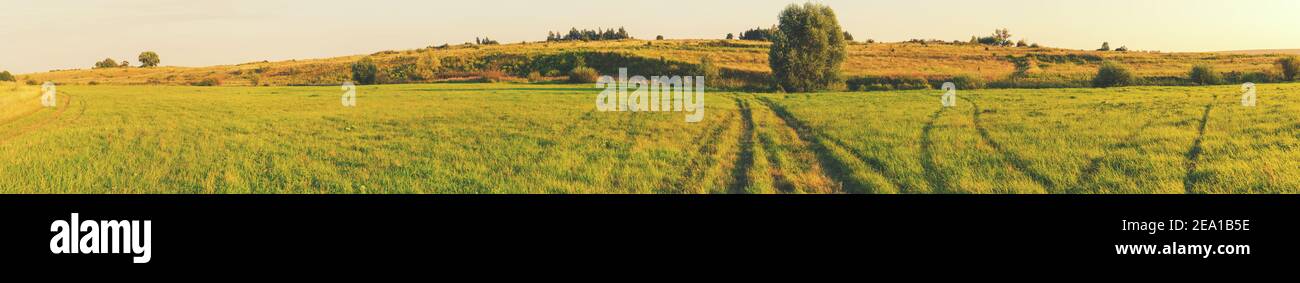 Grande vue panoramique de grand pré pendant l'été coucher de soleil.beau paysage rural ensoleillé. Banque D'Images