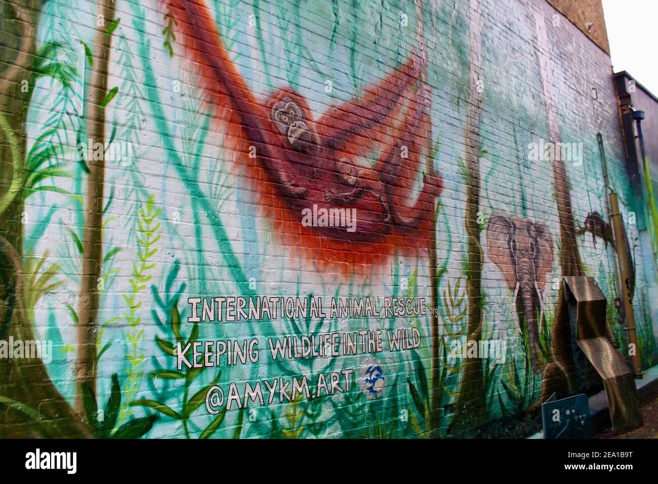 Art mural promouvoir le sauvetage international des animaux une charité digne des droits des animaux Banque D'Images