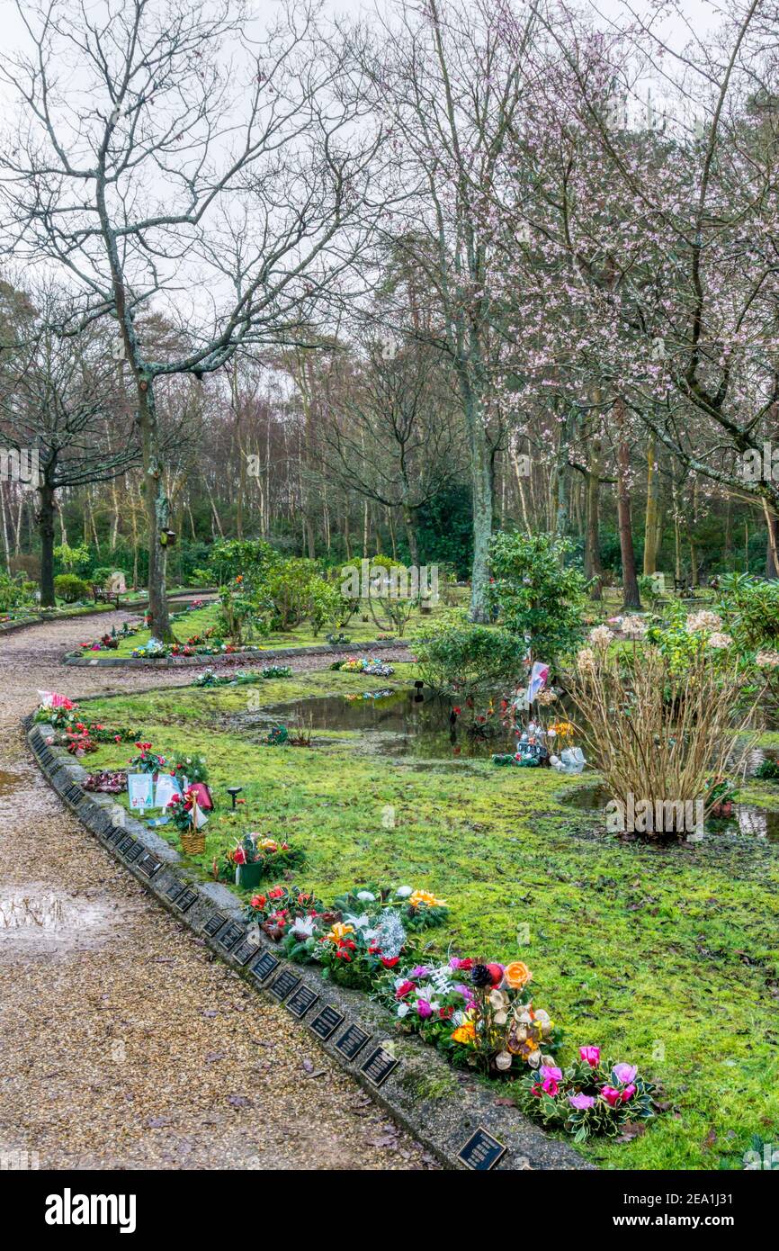 Jardin du souvenir au crématorium de Mintlyn dans un cadre boisé à l'extérieur de King's Lynn. Banque D'Images