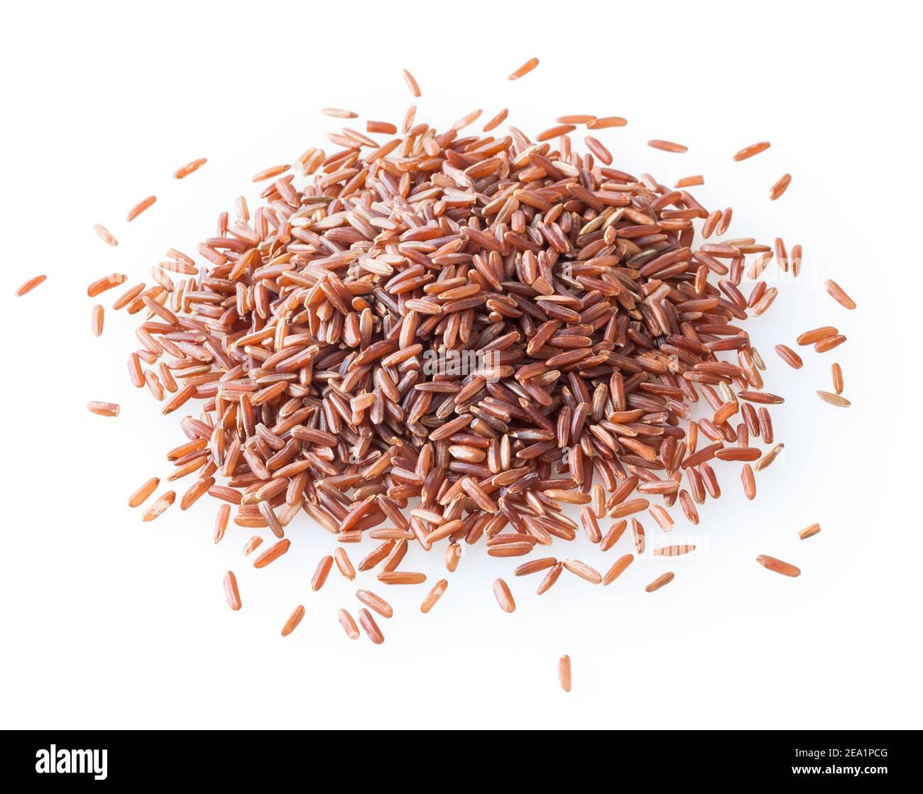 La voie du rêve: Une poignée de grains de riz