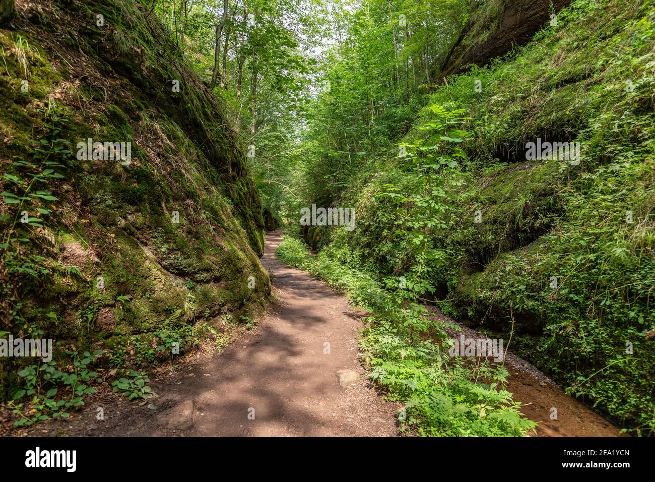 Sentier de randonnée et ruisseau dans le Drachenschlucht, gorge du Dragon près d'Eisenach, Thuringe Banque D'Images