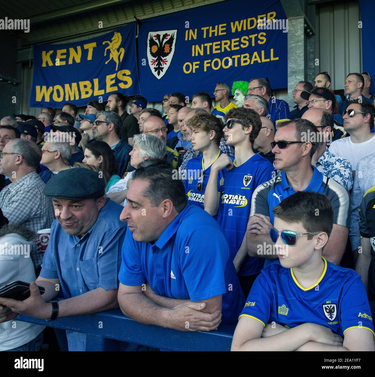 Les fans de l'AFC Wimbledon à l'intérieur du stade pendant le match, le club de football de l'AFC Wimbledon, en Angleterre. Banque D'Images