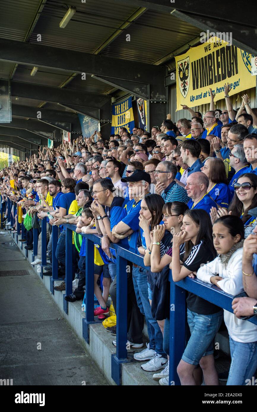 Les fans de l'AFC Wimbledon à l'intérieur du stade pendant le match, le club de football de l'AFC Wimbledon, en Angleterre. Banque D'Images