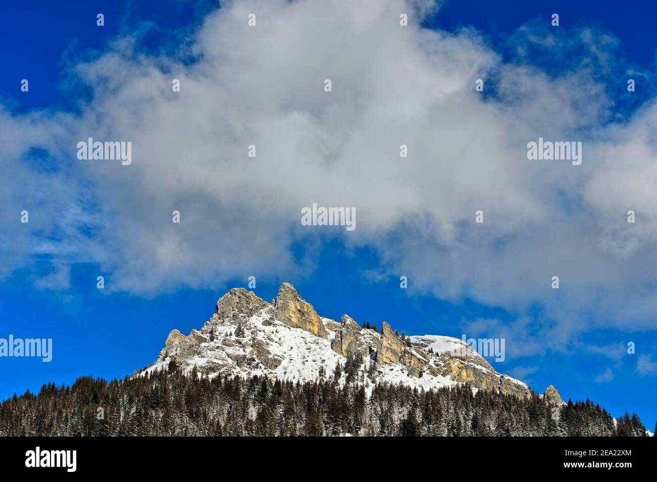 Mont Cesar en hiver, massif du Chablais, Bernex, Alpes savoyardes, France Banque D'Images