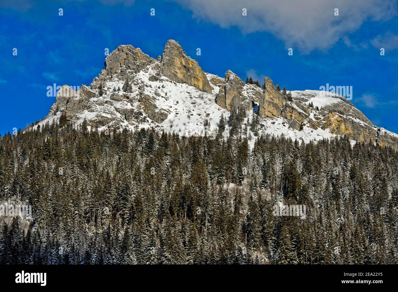 Mont Cesar en hiver, massif du Chablais, Bernex, Alpes savoyardes, France Banque D'Images
