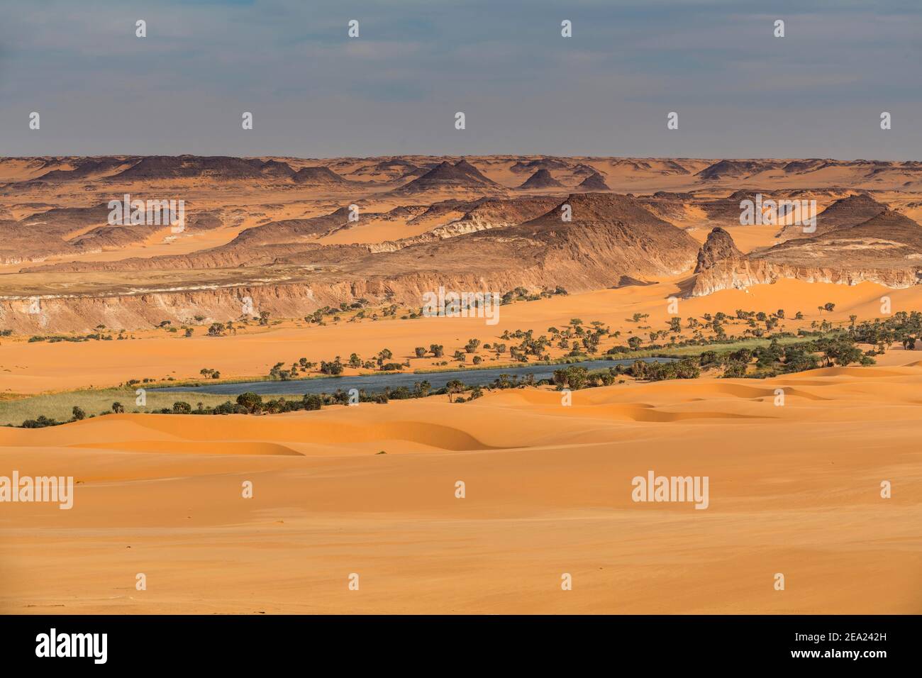 Lac d'eau douce faisant partie des lacs d'Ounianga de l'UNESCO, nord du Tchad, Afrique Banque D'Images