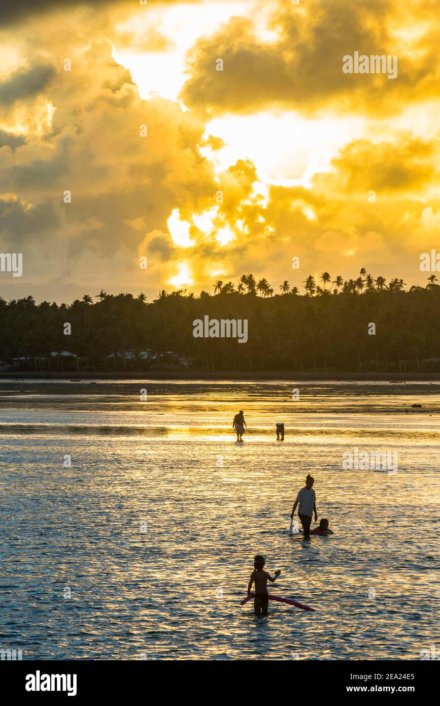 Locaux pour les escargots au coucher du soleil dans le lagon de Wallis, Wallis et Futuna Banque D'Images