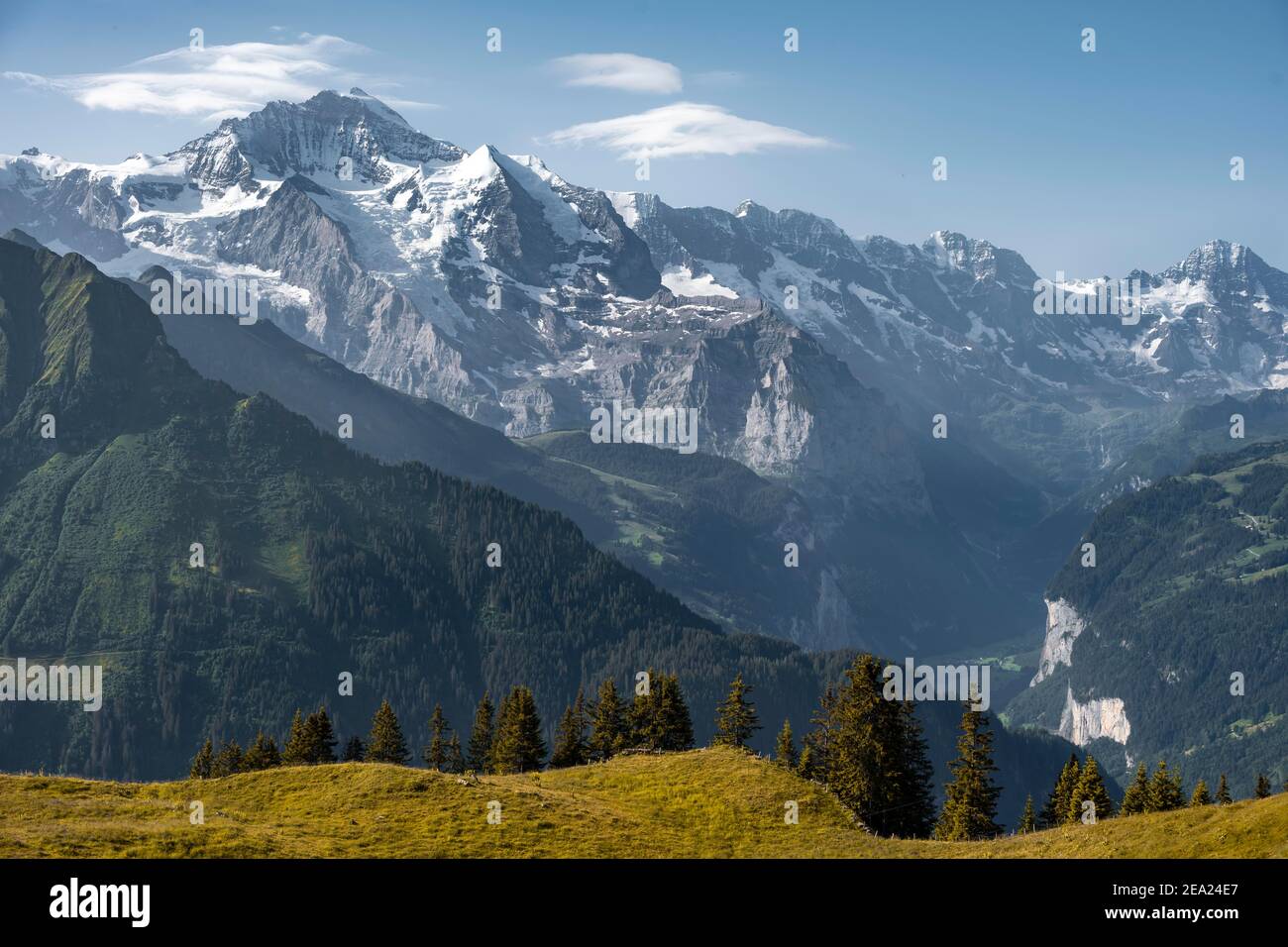 Sommets enneigés derrière la vallée de Lauterbrunnen, Jungfraujoch et Jungfrau, glacier Jungfraufirn, région de Jungfrau, Grindelwald, canton de Berne Banque D'Images