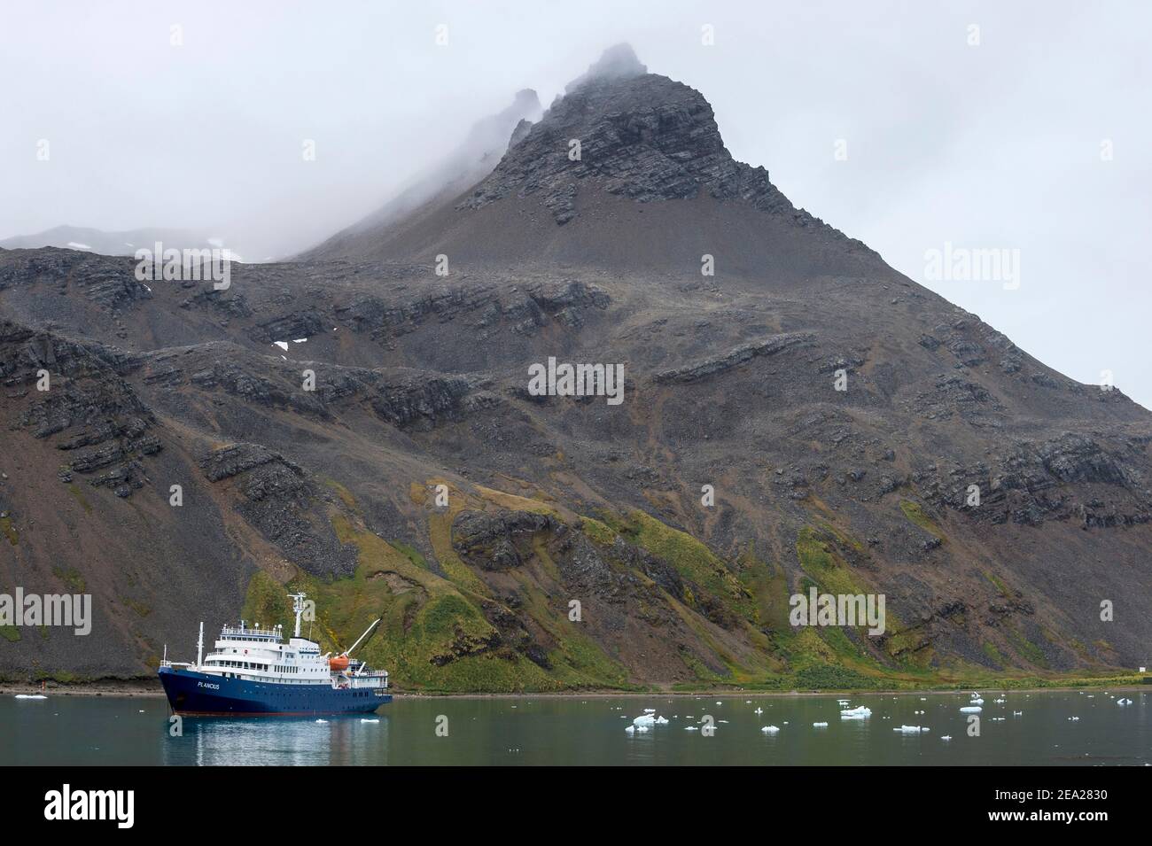 Bateau de croisière dans la baie de Grytviken, Géorgie du Sud, Antarctique Banque D'Images