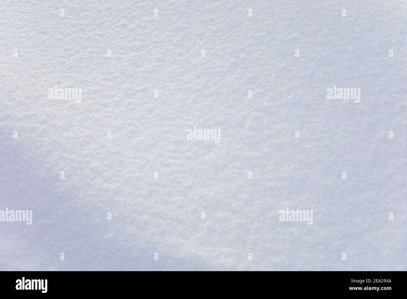 Arrière-plan de la texture de la neige fraîche. Ton bleu. Banque D'Images