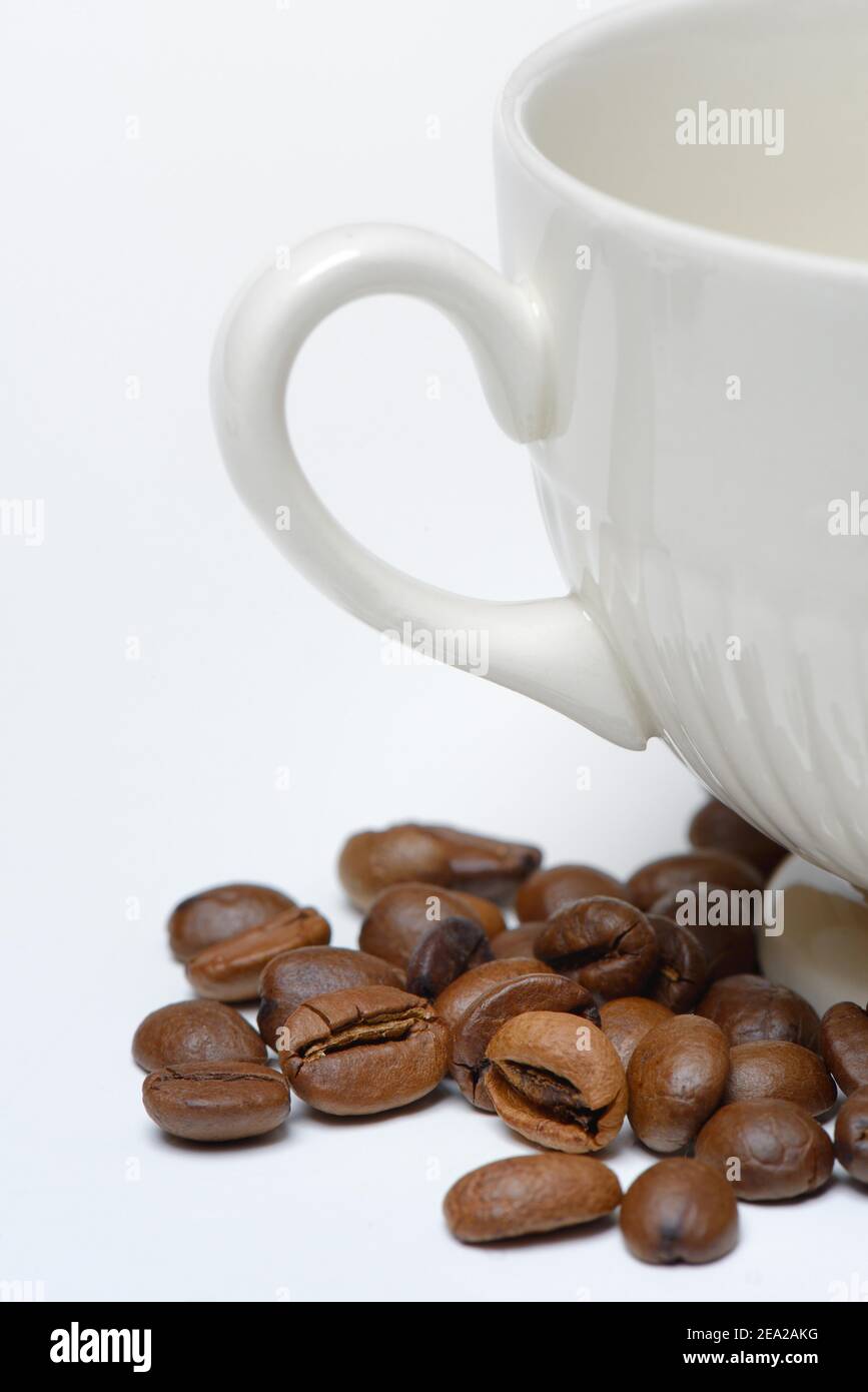 Grains de café et tasse ( Coffea arabica) Banque D'Images