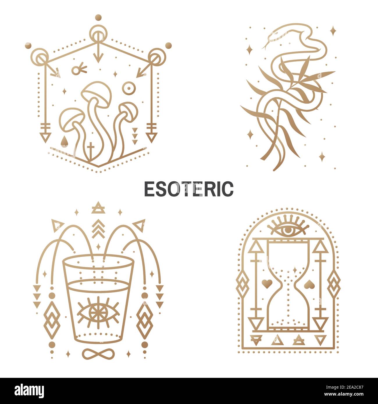 Symboles ésotériques. Vecteur. Badge géométrique à lignes fines. Icône de contour pour l'alchimie ou la géométrie sacrée. Design mystique et magique avec symboles alchimie, champignons, serpent, fleurs sauvages, sablier, verre Illustration de Vecteur