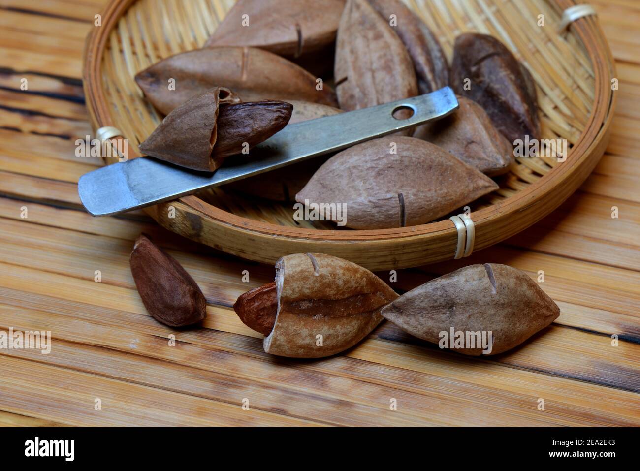 Pilinuts pré-marqués avec pili cracker, ouvert ( Canarium ovatum) Banque D'Images