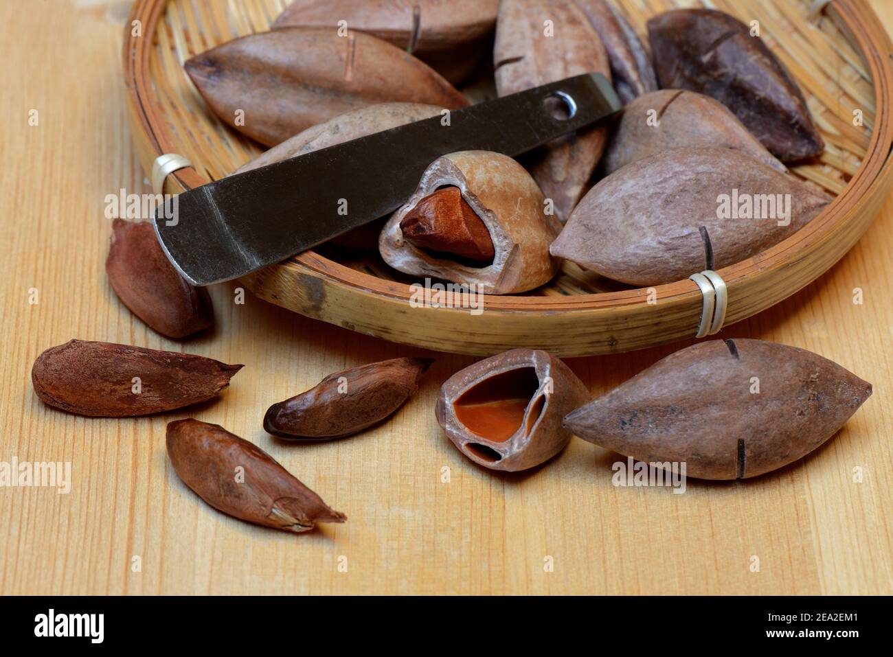 Pilinuts pré-marqués avec pili cracker, en coquille, ouvert ( Canarium ovatum) Banque D'Images