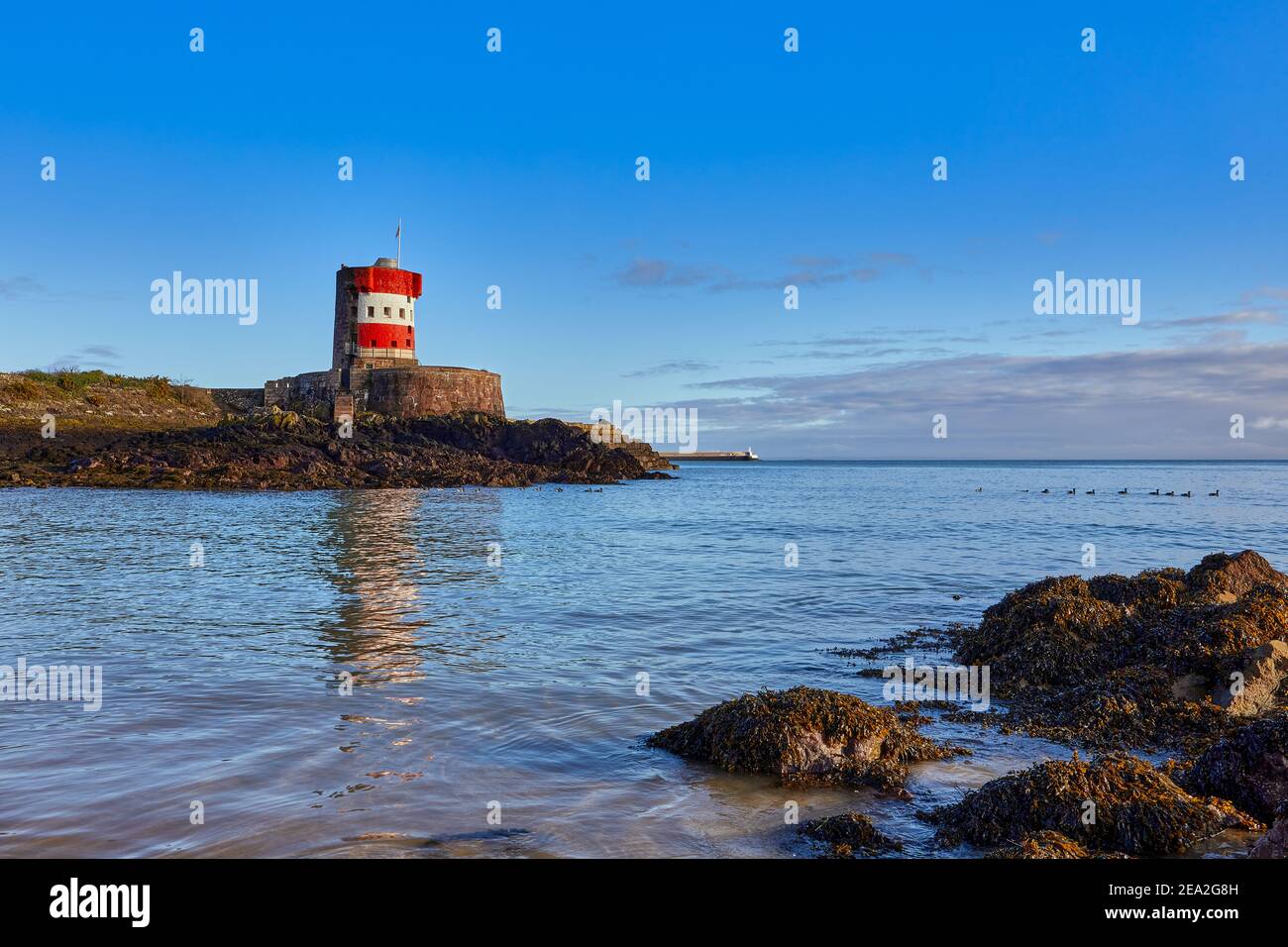 Image de la baie d'Archirondel avec la tour napoléonienne du Jersey tôt par une journée ensoleillée, avec St Caherines Breakwater dans le fond arrière. Jersey, Manche Banque D'Images