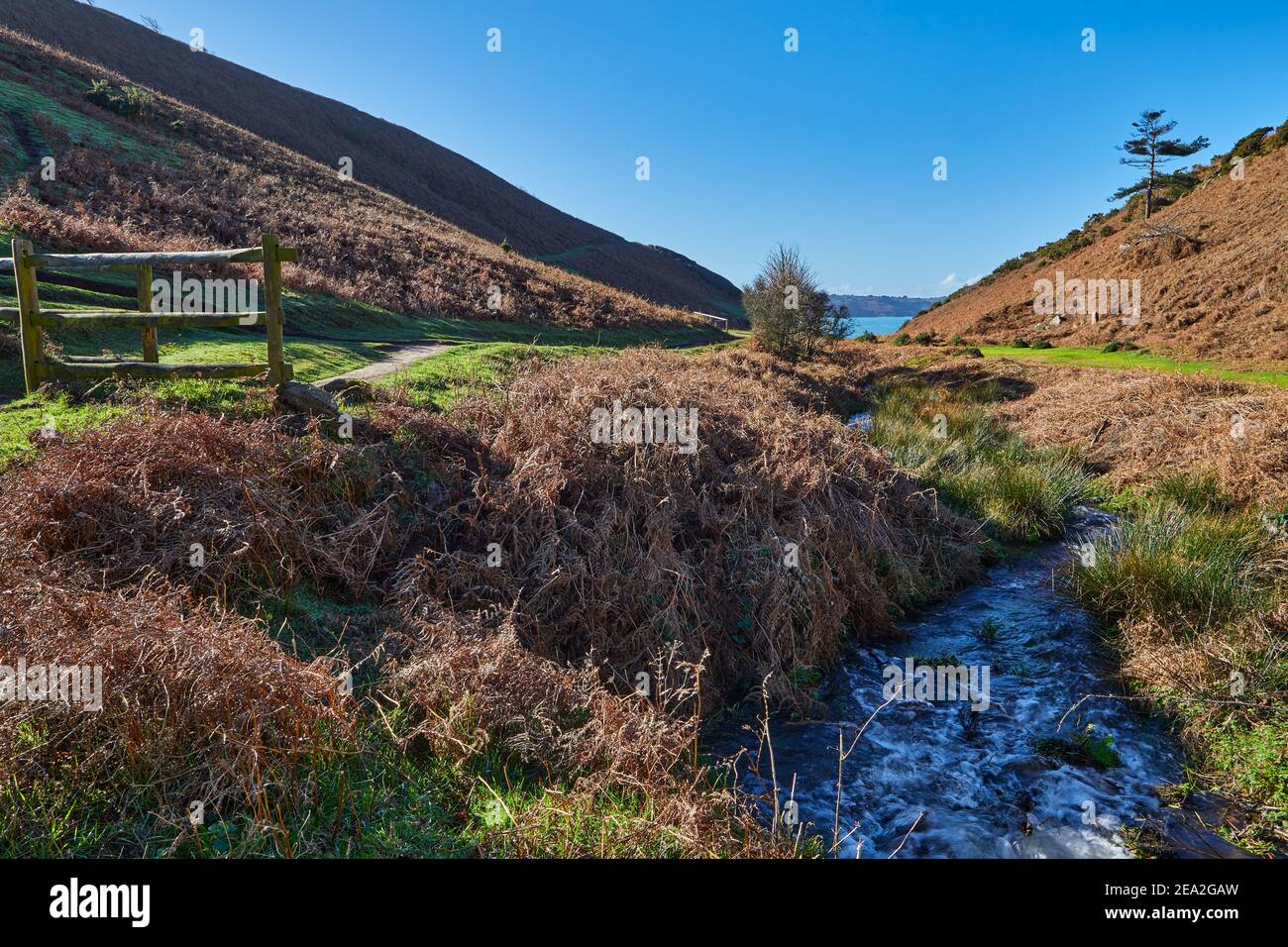 Image d'un ruisseau dans une vallée du Nord Sentiers côtiers dans les îles du canal de Jersey Banque D'Images