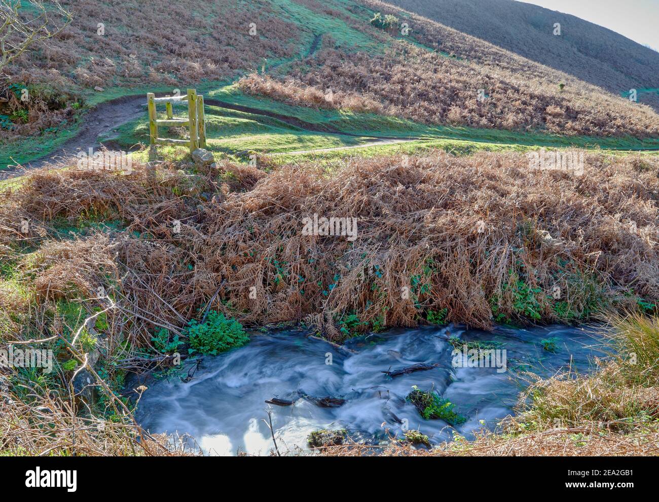 Image d'un ruisseau dans une vallée du Nord Sentiers côtiers dans les îles du canal de Jersey Banque D'Images