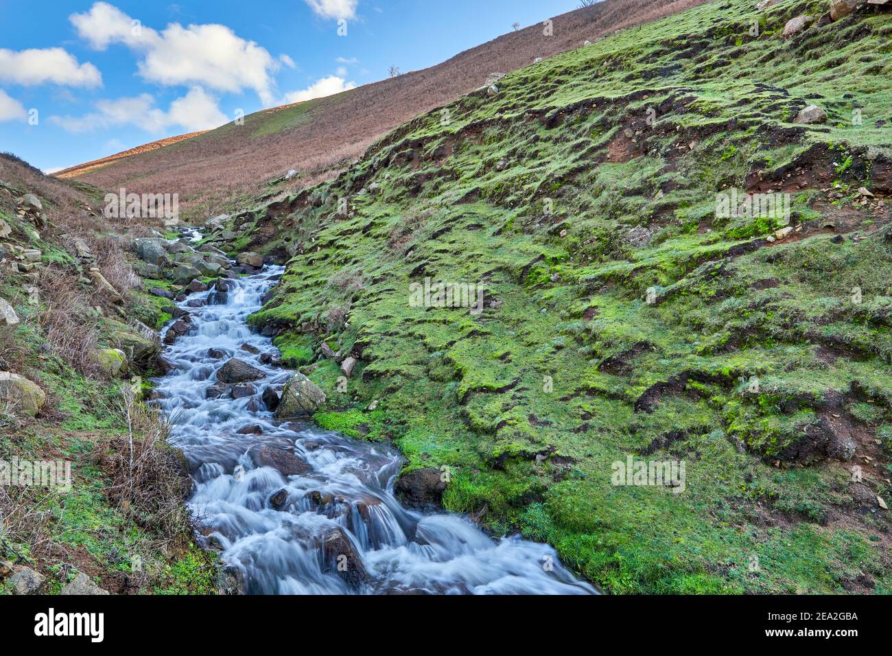 Image d'un ruisseau dans une vallée du Nord Sentiers côtiers dans les îles du canal de Jersey Banque D'Images
